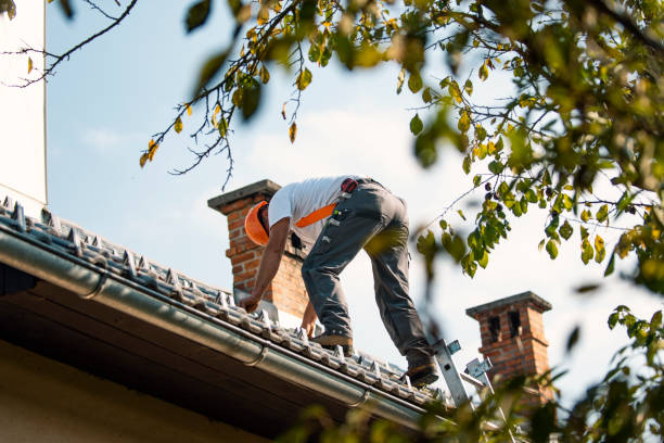 Best Local Roofing Companies  in Rayre, MO