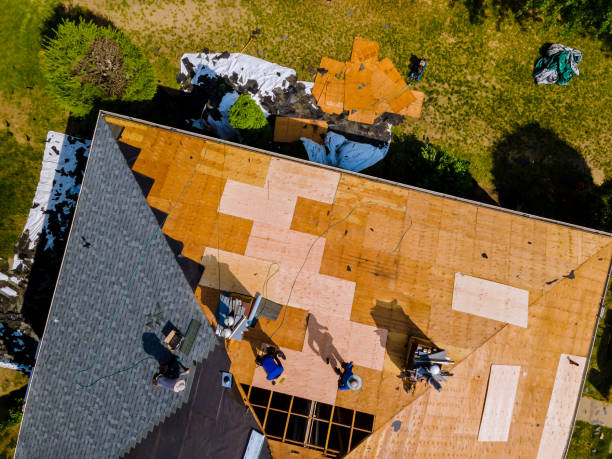 Best Roof Waterproofing Services  in Rayre, MO