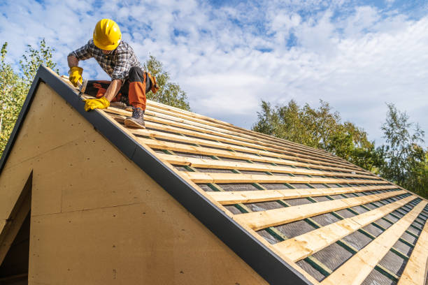 Best Roof Maintenance Services  in Rayre, MO