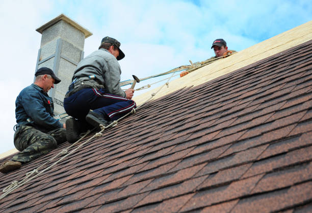 Best Roof Waterproofing Services  in Rayre, MO